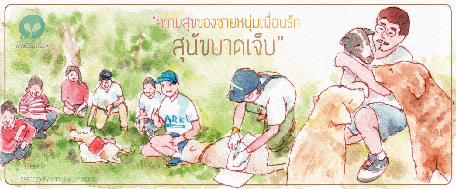 ความสุขของชายหนุ่มเพื่อนรักสุนัขบาดเจ็บ