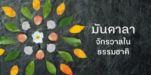 พัฒนาจิตสุขภาวะทางปัญญาศิลปะธรรมชาติเยียวยามันดาลา